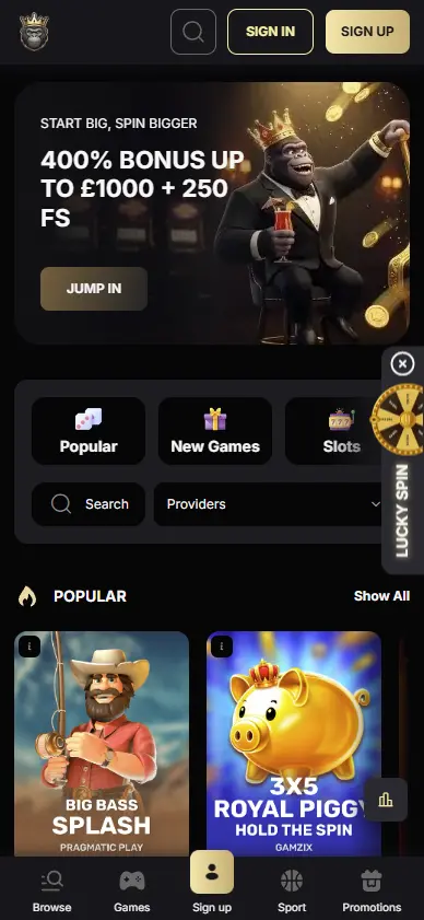 Spin Kong Casino app interface